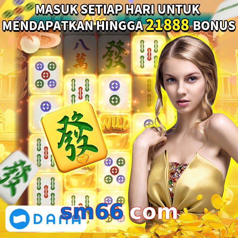 sm66 com