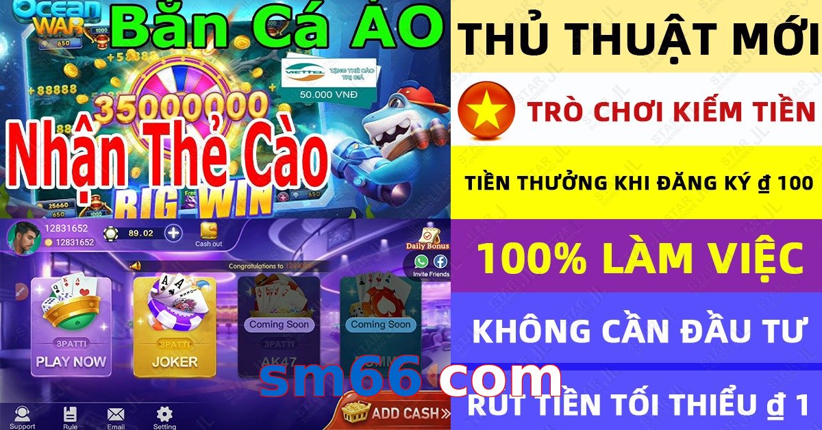 sm66 com