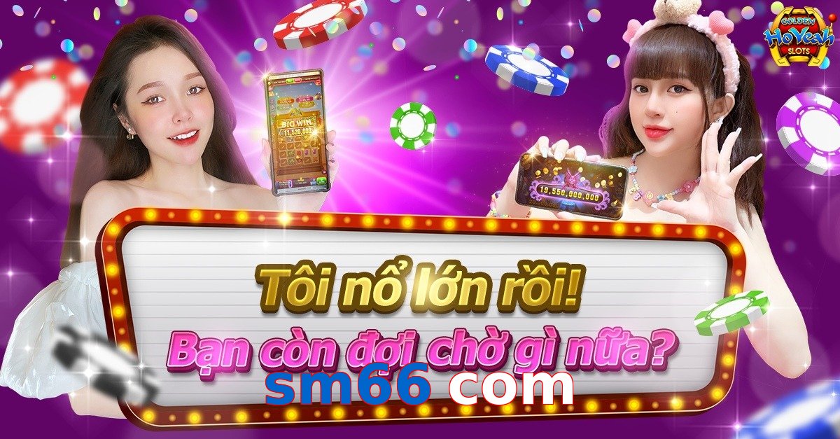 sm66 com
